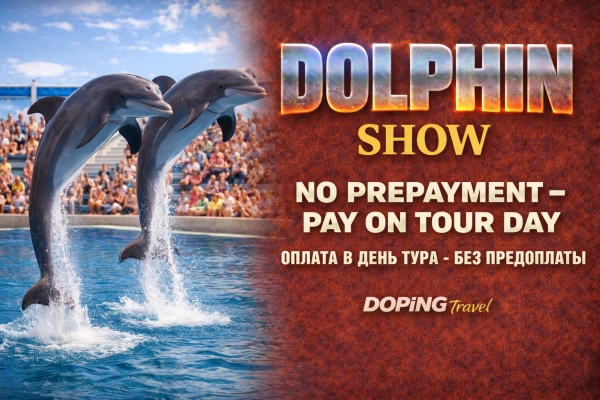 Dolphin Park in Alanya – Unforgettable Dolphin Show at Sealanya Seapark